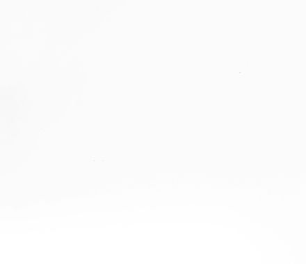 Top view of a potted succulent on a white background, ideal for minimalist and modern design themes.